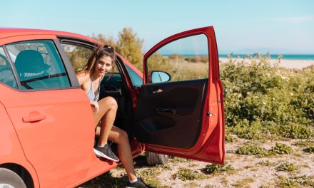 Mantén tu coche fresco en verano