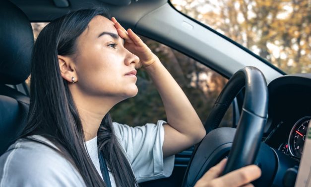 El enemigo silencioso del verano al volante es el calor y a partir de 35 grados dentro del coche el riesgo de accidente se dispara